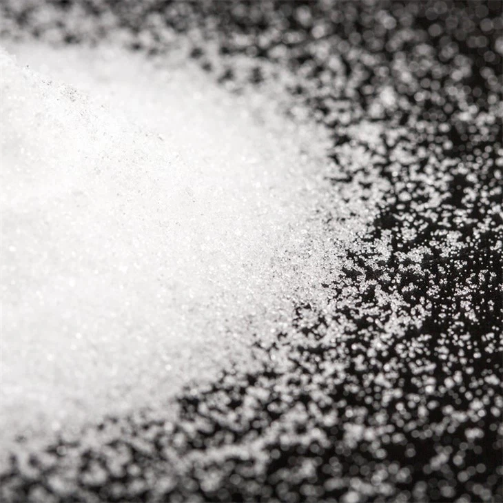 Capture One Catalog8441